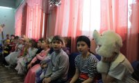 IMG_8941