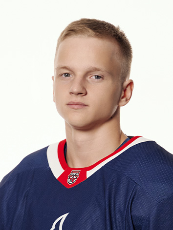 Волгин Илья