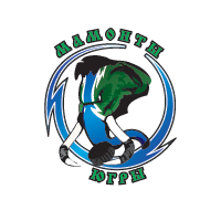 Сокол-Зауралье