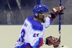 Emelin_raduetsa_golu