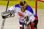 Lisovets_ponik_golovoy