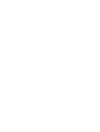 Континентальная Хоккейная Лига